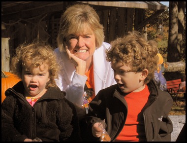 pumpkin patch 6