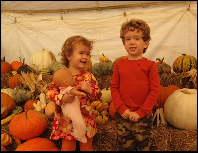pumpkin patch 3