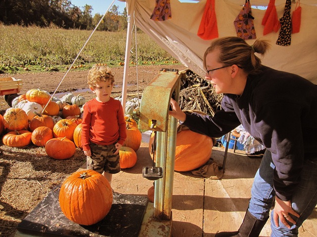 [pumpkinpatch44.jpg]