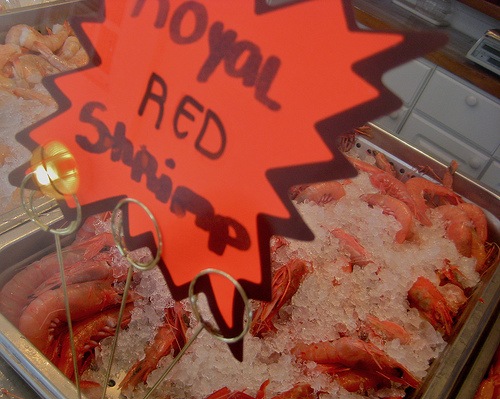 [royal red shrimp[5].jpg]