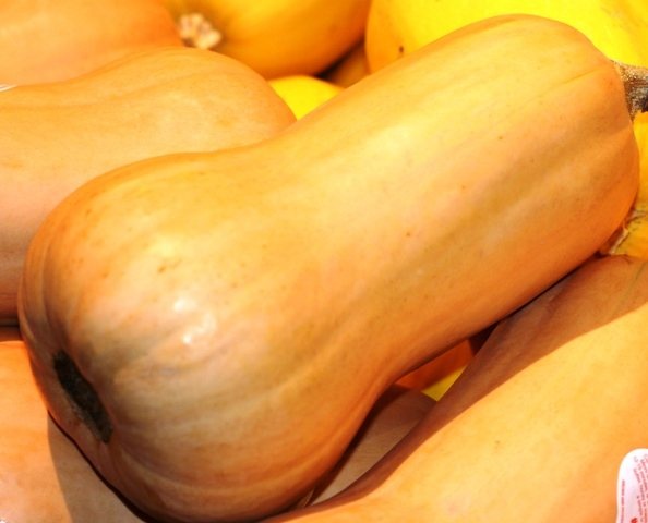[butternut squash[4].jpg]