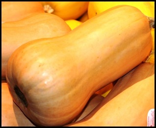 butternut squash