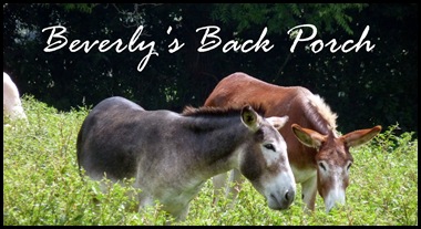 donkeyheader