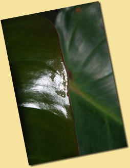 DSC_7374 DSC_7374