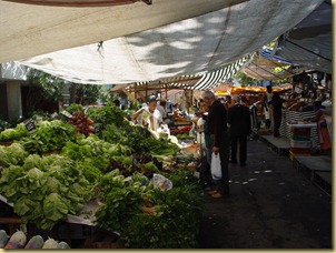 DSC03255 DSC03255