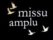 [missuamplu[27].jpg]