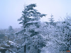 Click to view Winter + Beautiful + Nature Wallpaper [winter 04 1600x1200px.jpg] in bigger size