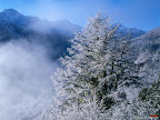 Click to view Winter + Beautiful + Nature Wallpaper [winter 34 1600x1200px.jpg] in bigger size