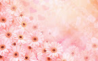 Click to view WOMEN + SPECIAL + 1920x1200 Wallpaper [women.special.058.jpg] in bigger size