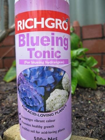 [blueing tonic[4].jpg]