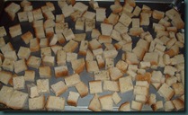 Fall2009 203