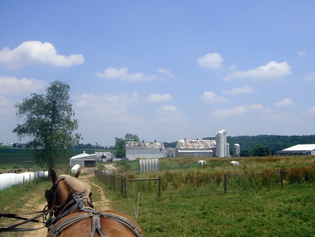 [Amish farm from a wagon ride[5].jpg]