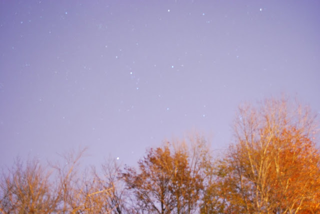DSC_0064.JPG