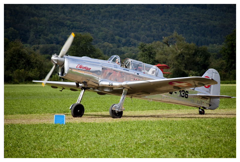 DCM40.jpg