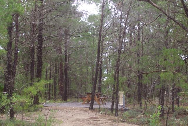[Topsail Hill 031[2].jpg]