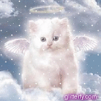 [angel_kitty[5].gif]