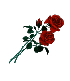 rose_icon