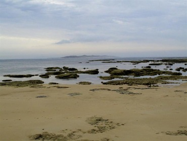 ptlonsdale7 (Medium)