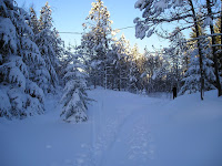 PC310008.JPG Photo
