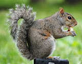 DSC_2351.JPG
