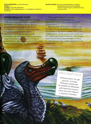 http://lh3.ggpht.com/_Buz5vTLQf7c/S7Qb4IkqI7I/AAAAAAAAAHI/4VpDXBxxu2k/s512/Vimershije_zhivotnije_107.jpg