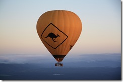 IMG_1705 IMG_1705