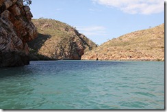 IMG_1445 IMG_1445