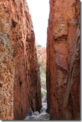 IMG_1680 IMG_1680