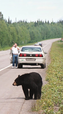 Photo by Moose