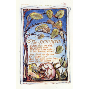 The Sick Rose Cover