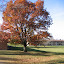 AutumnColors-6.jpg