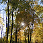 AutumnColors-2.jpg