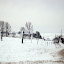 DSC03353.JPG