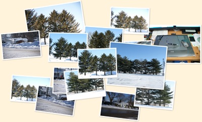View Coal City IL Jan 18th, 2009