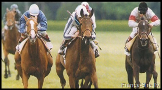 Miesque