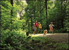 Holiday Lodges in Gloucestershire