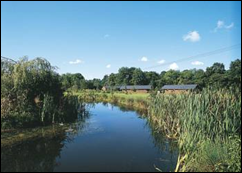 Ford Farm Lodges