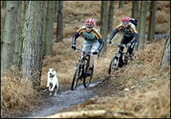 Loads of Sports and Leisure Pursuits