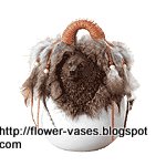 Flower vases:vases-10905