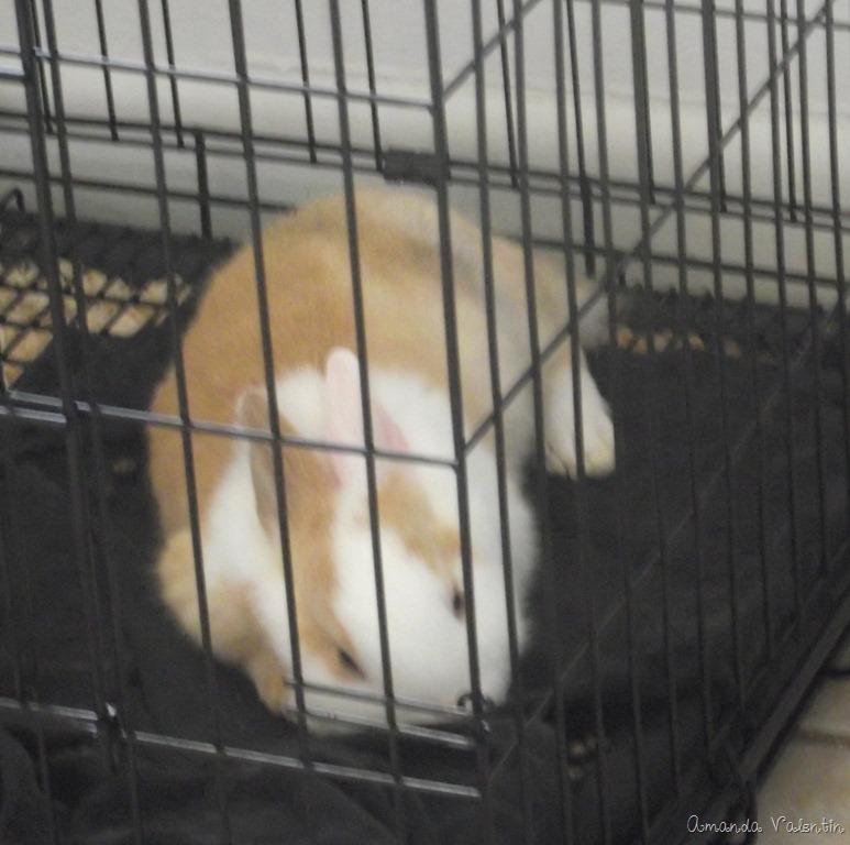 [20110306_10[12].jpg]