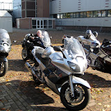 Herfstrit 17-10-2009