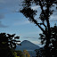 DSC_0087.JPG