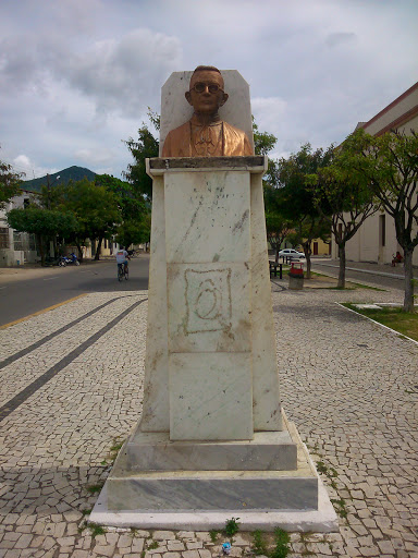 Busto D. Aureliano Matos