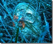 Immerssione subacquea (2)