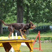 DSC_0207.JPG