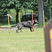 DSC_0217.JPG