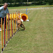 IMG_9060.JPG