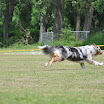 DSC_0254.JPG