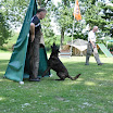 DSC_0560.JPG