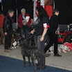 IMG_1404.JPG - Kassel